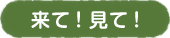 来て！見て！のマウスオンボタン